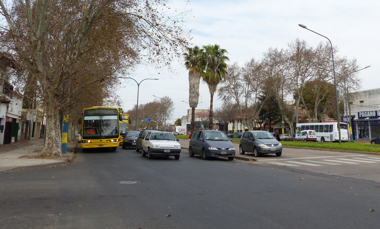Joven asesinó a su madre por pedirle que dejara de fumar, en Florida