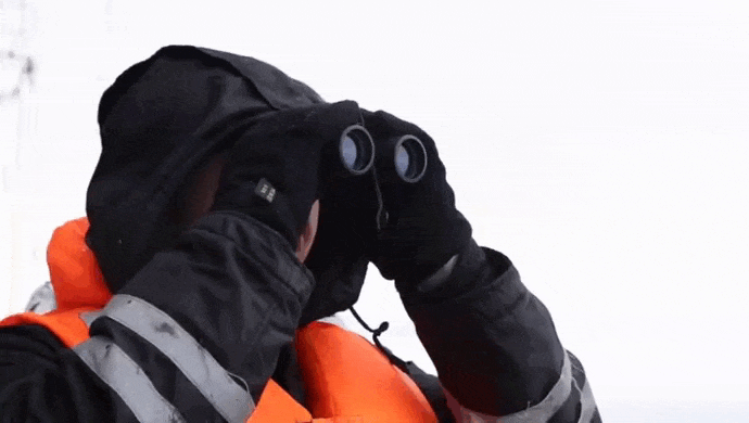 https://i.postimg.cc/13kTDQ7M/video-2026-06-04-06-12-16-(1).gif