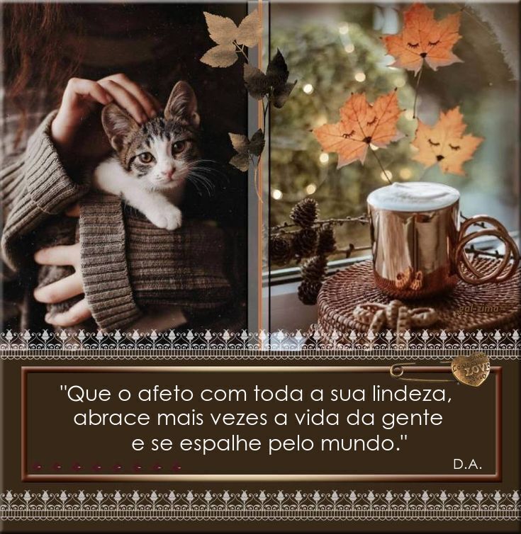 Afeto