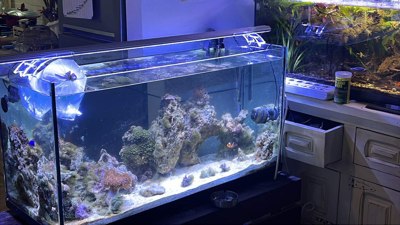 3CD309E7-267A-4F90-934C-DB20D56D1CB3