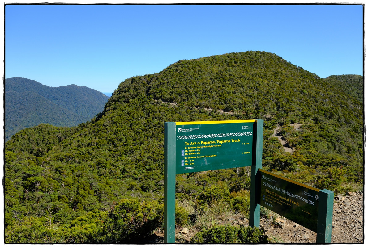 Paparoa NP: Paparoa Track (diciembre 2024) - Escapadas y rutas por la Nueva Zelanda menos conocida (25)
