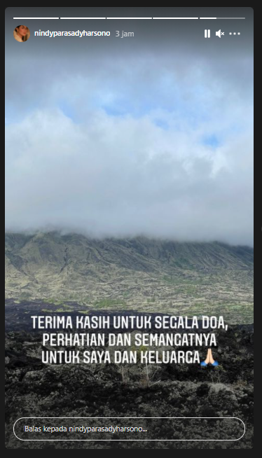 Nindy Ayunda tulis ucapan terima kasih atas support untuk dirinya dan keluarga