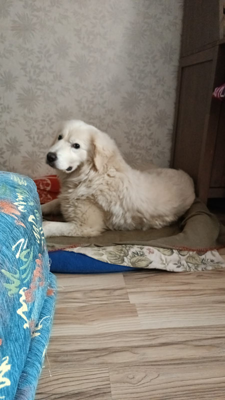 CE42C09B-0F6A-4EBB-9098-3D465C198DCB