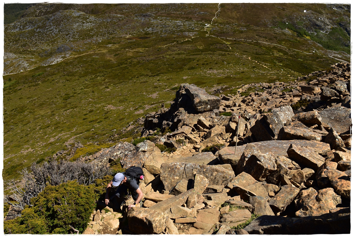 Cradle Mountain National Park - Australia (II): Recorriendo Tasmania (15)