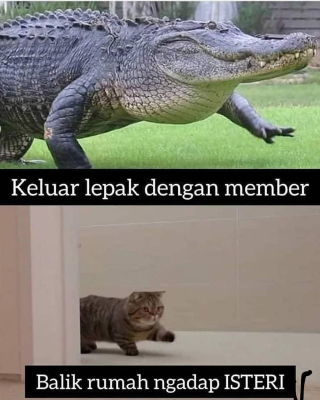 Postingan mantan istri Engku Emran,