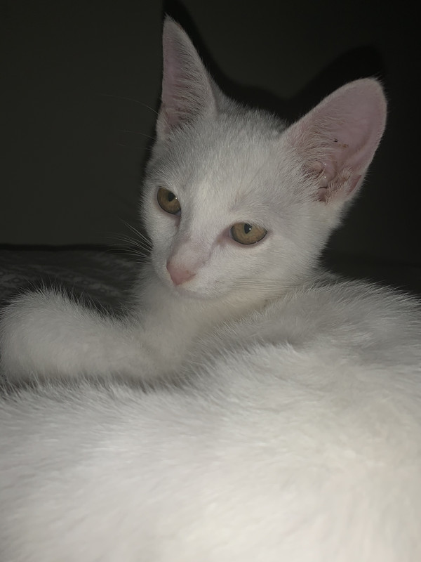 BC26BB9F-297E-44C7-AF9C-715B78E56A61