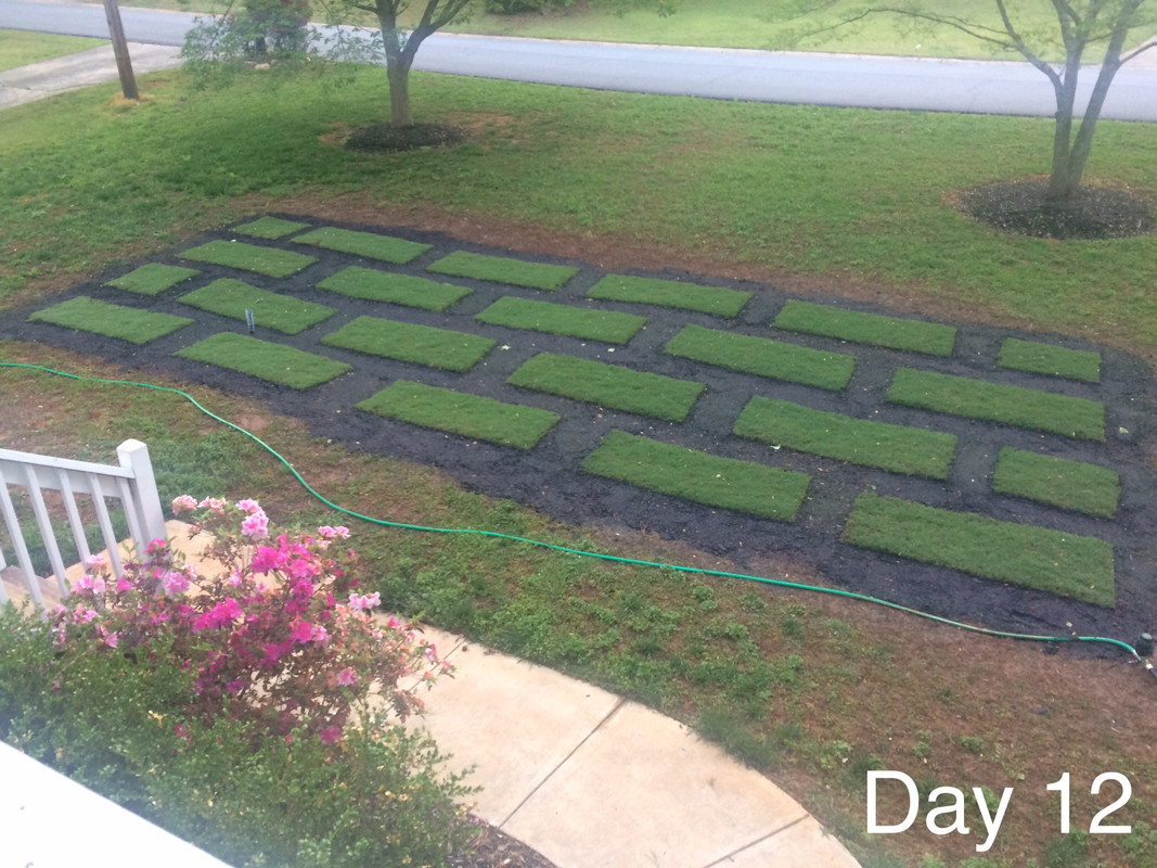 8FFB5A46-BBFF-477E-8874-DA97AAD94AB8