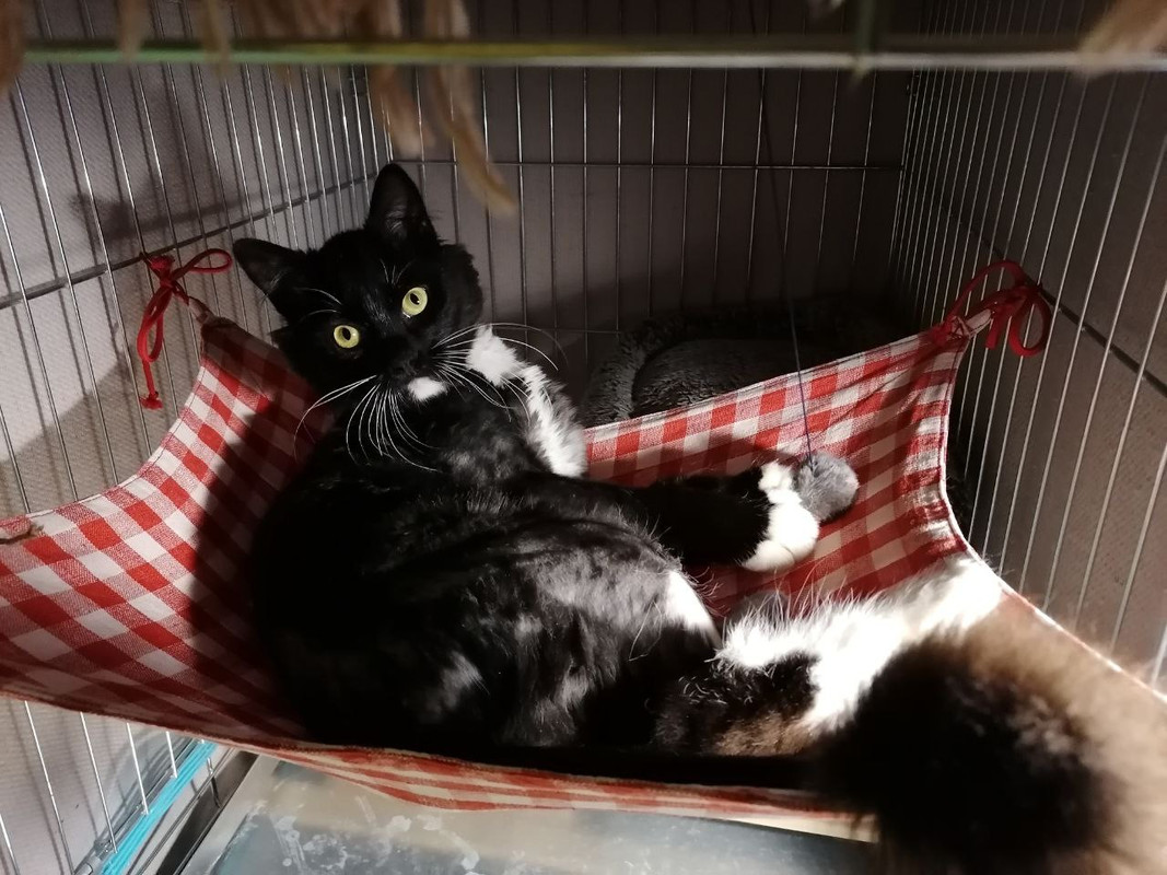 4BDC0966-895B-4BAA-9D71-57707BFEE672