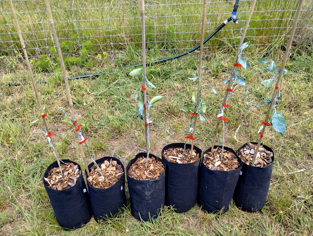 IMG_20240511_114923968_HDR