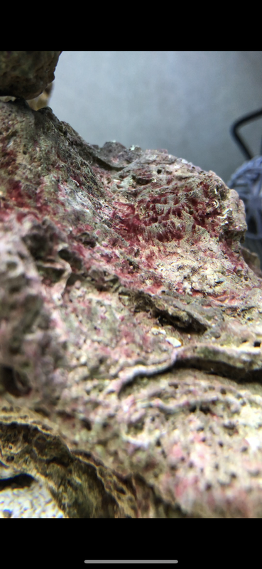 BF75CE88-DC3A-469F-9007-F07C989CEEFE