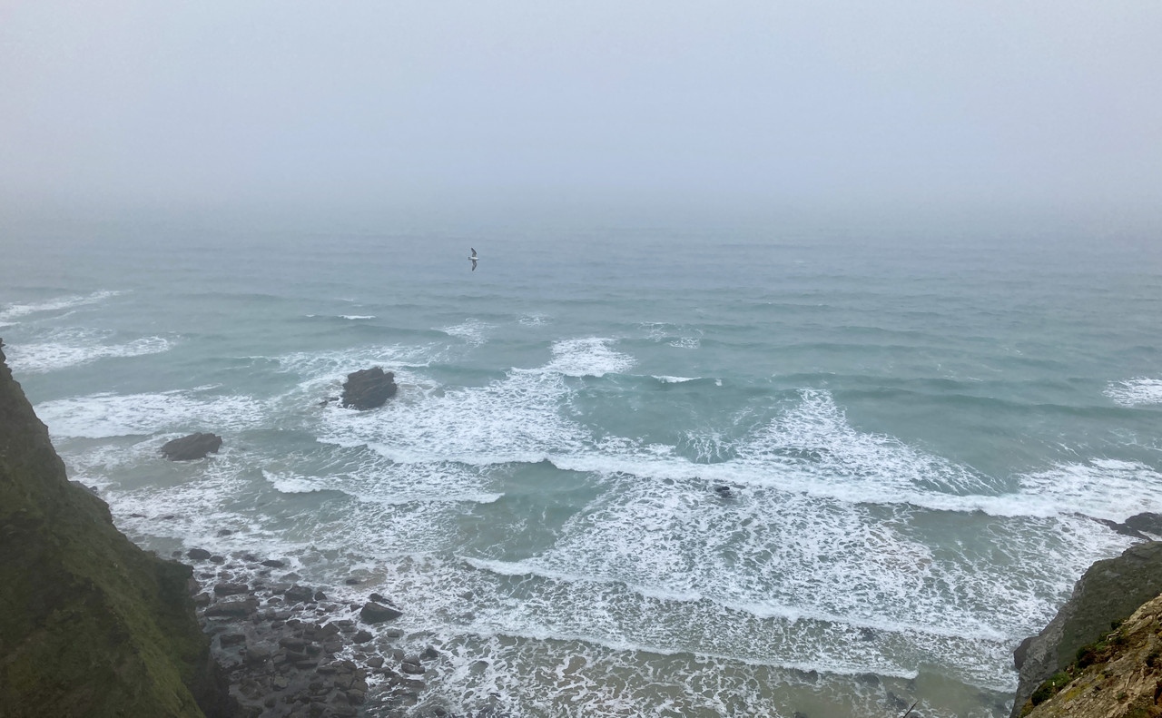 E1190919-AB2C-4183-9076-503F9343919D