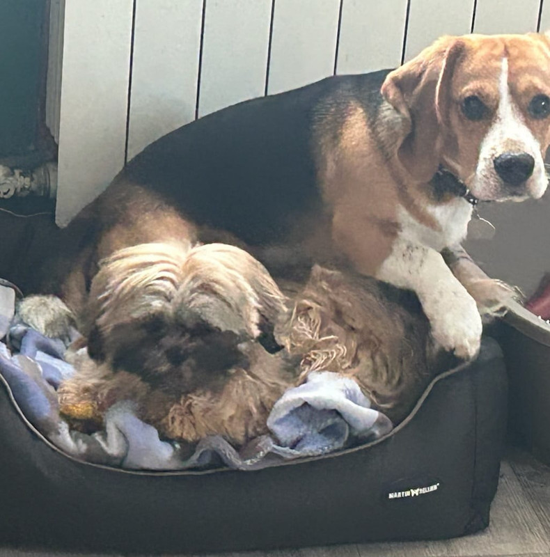 [Image: IMG-20240128-WA0006.jpg]