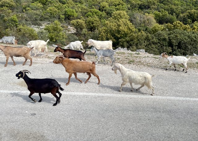 [Linked Image from i.postimg.cc]