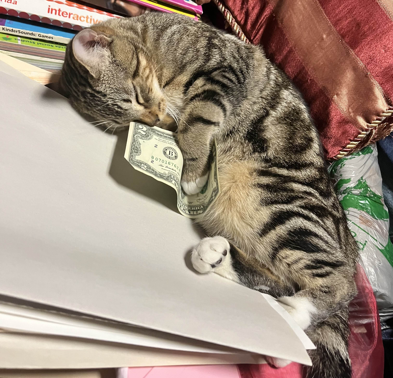 image 2026 01 21 141616852