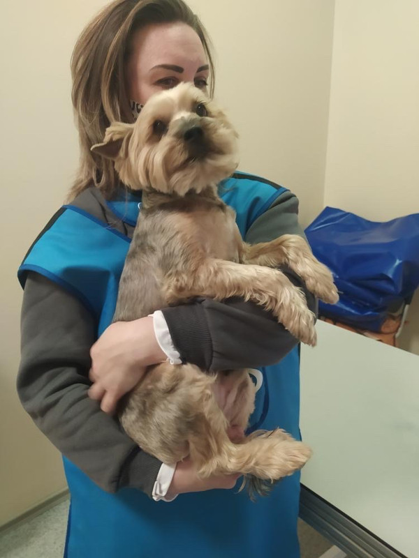 979C4BFB-0D2C-448E-8280-C6DA815E6B97