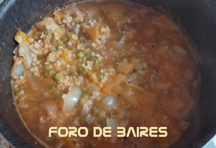 fotoguisoarrozintegral3