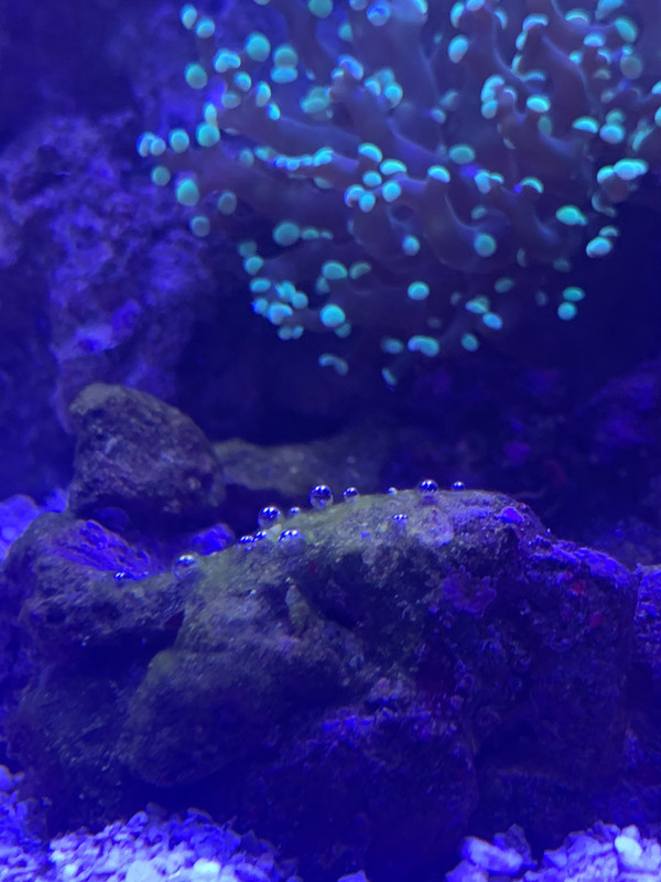 2B92E30C-562C-4C95-B7A4-518C600A2DAB