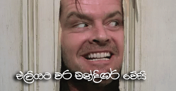 the-shining-heres-johnny.gif