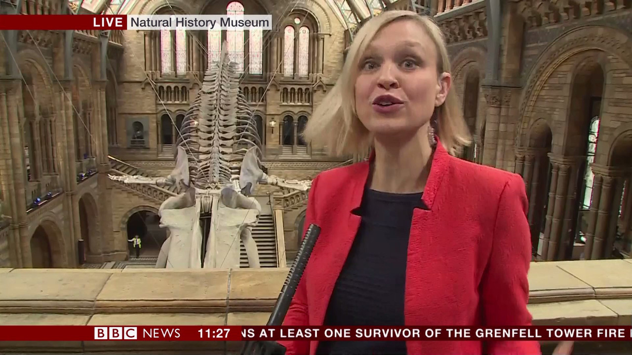 BBC Newsroom Live_20170713_11001130.ts_snapshot_