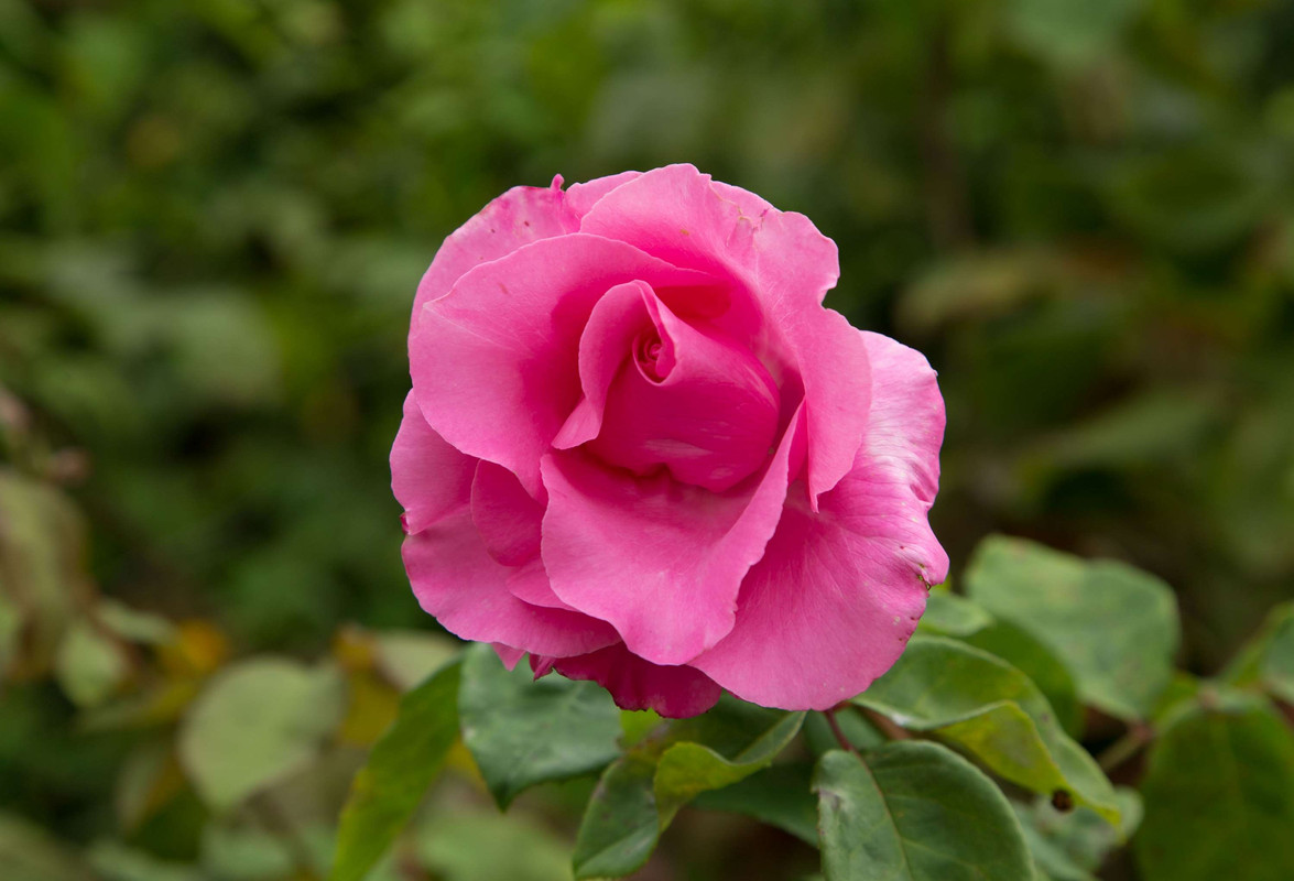 [Bild: IMG-1728.jpg]