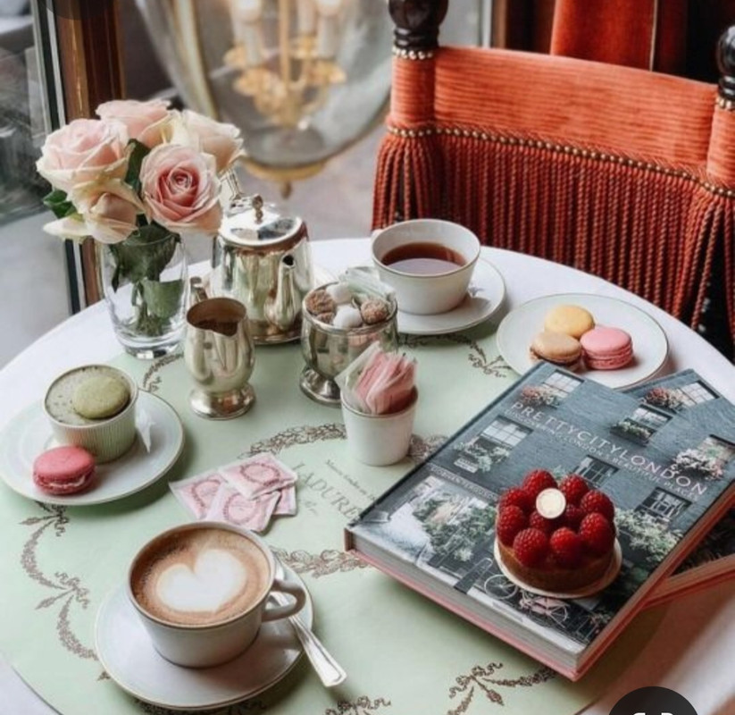 Screenshot_20230309_225640_Pinterest