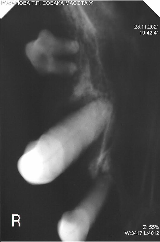 C308502D-D256-45CD-B6B3-AC8EBF45FF76