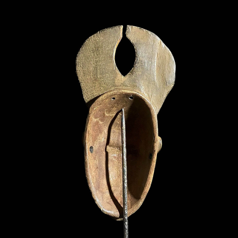 large image 11