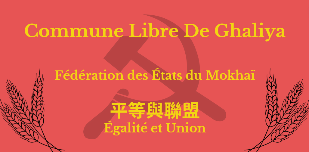 https://i.postimg.cc/zXRGpM4M/logo-minist-re-des-affaires-diplomatiques-mokha.png