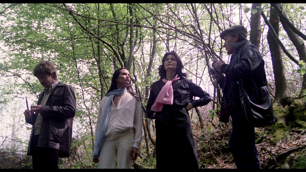 vlcsnap-2024-01-04-11h36m33s570