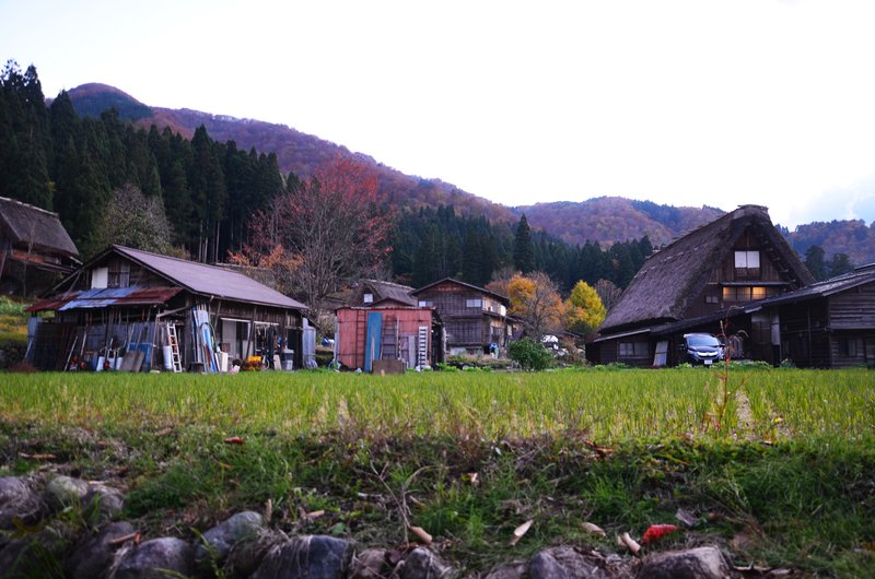 Aldea Histórica de Shirakawa-Go-14-11-2024 - Japón y sus Pueblos-2024 (20)