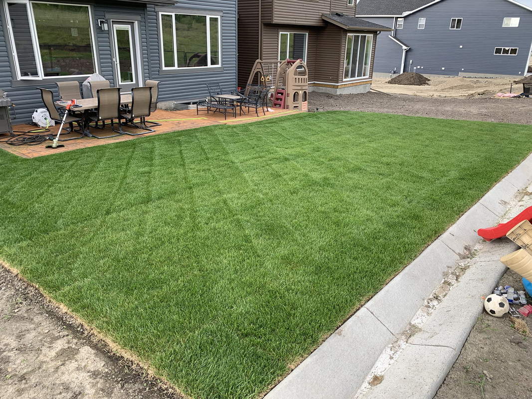 A1221321-14DA-4079-A0CF-DF4D97BAF98F