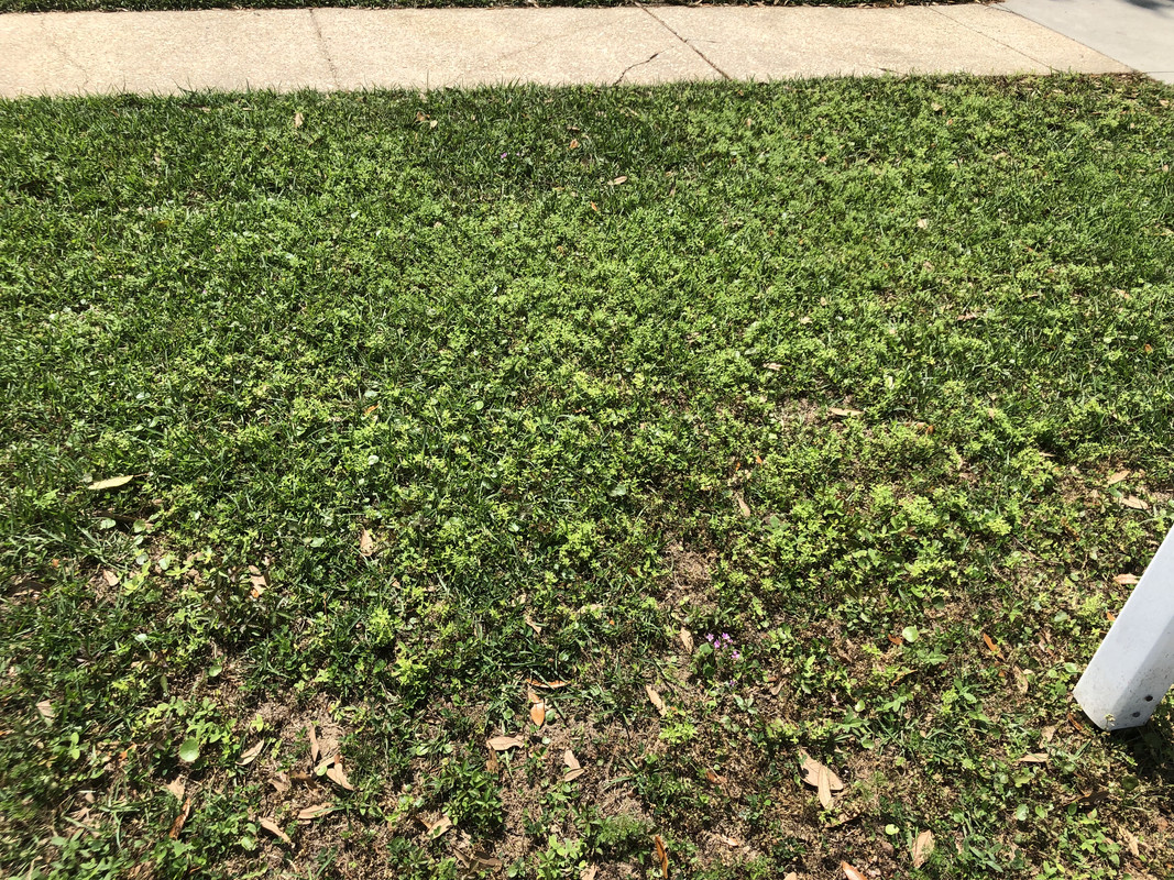 4F8543F2-B4CF-4F6D-B456-C330BF859122