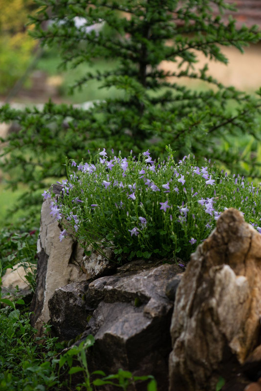 IMG-3bfcd5d3b541a1525660a0c9fe1bf8c1-V
