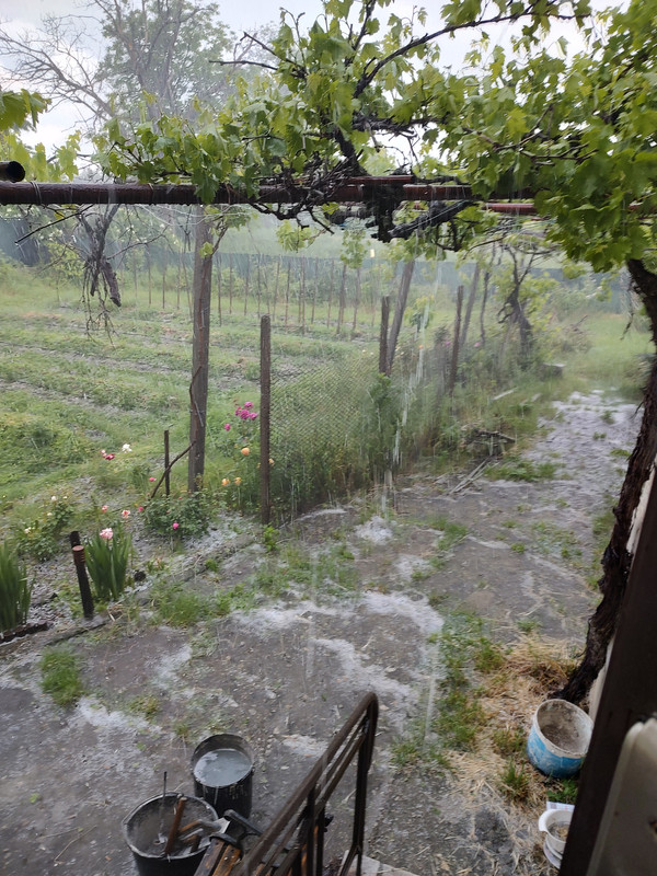 IMG_20230603_145316270_HDR