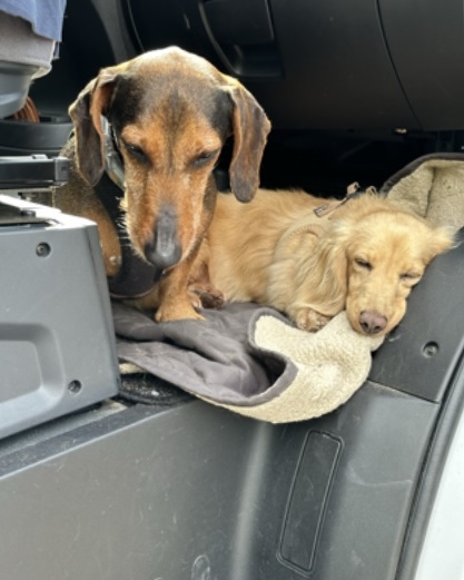 [Image: IMG-7251.jpg]