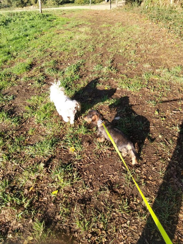 [Image: 20200128-114238.jpg]