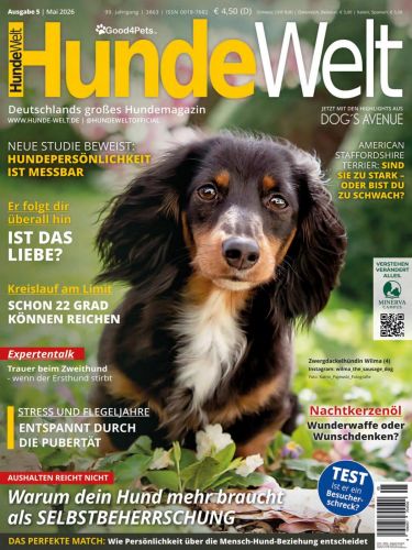 Hundewelt.jpg