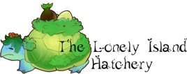 turtle_banner.png