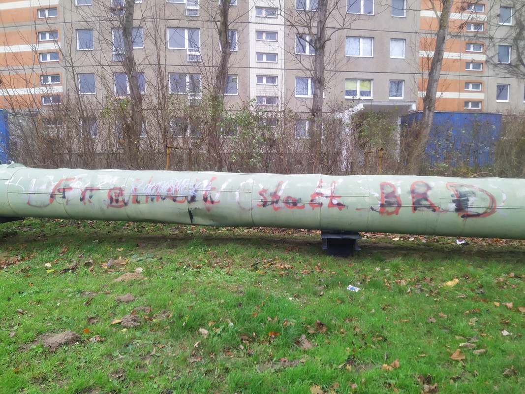 IMG-20201207-091103.jpg