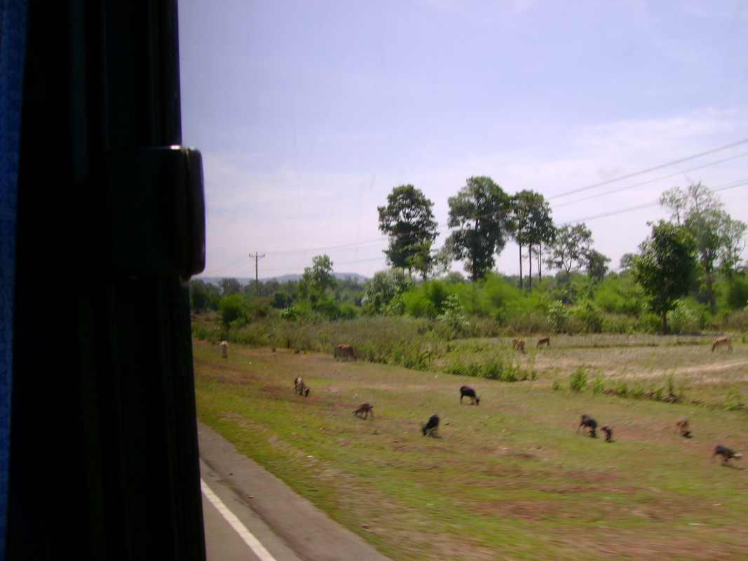 DSC00033-resize