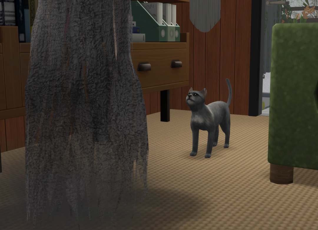 ksnip-20250810-142012