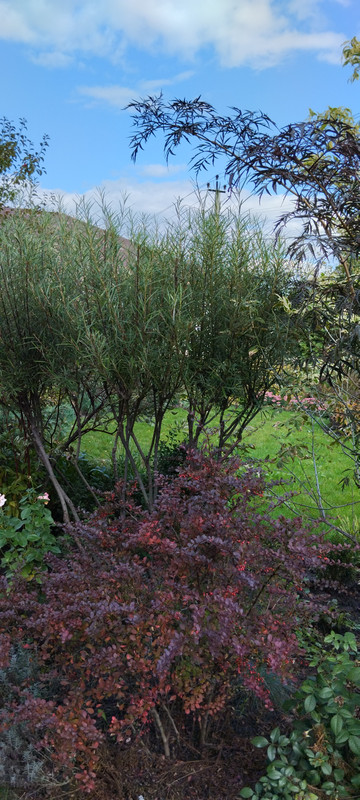 IMG-9179ea2fcbc1cf0b866655cdcc9db6f1-V (1)