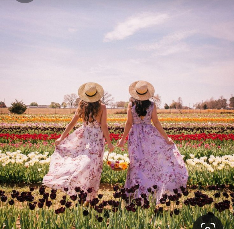 Screenshot_20230614_005247_Pinterest