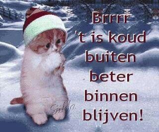 d19cc62f0ee7d5d9e4e64510faed8531