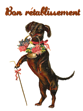 [Image: 998ce3ae.gif]