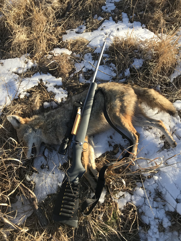 84651770-F1CB-4750-B7B9-9F13E6EF5D31