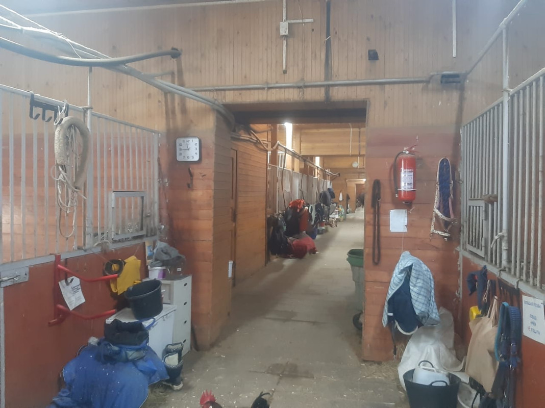 WhatsApp Image 2021-03-05 at 12.14.50 (3)