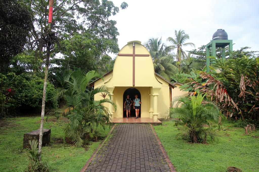 DIA 2: LLEGADA A TORTUGUERO - DE TORTUGAS Y PEREZOSOS. COSTA RICA 2019 (28)