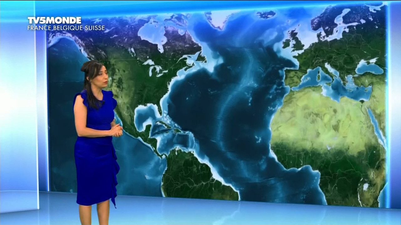11.23 - 17.28.00 - Météo. Le bulletin météorologique international.ts_snapshot_08.38.271