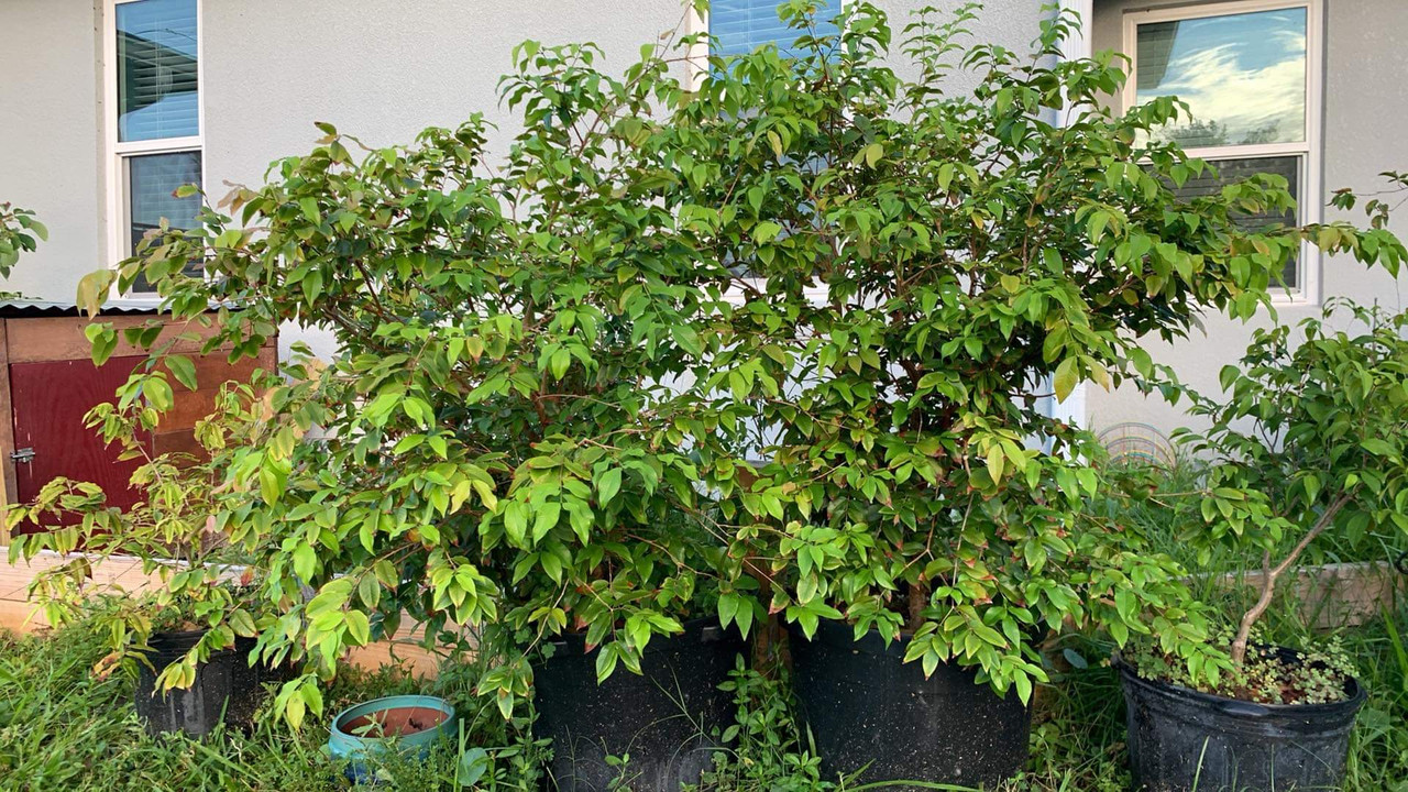 5AE15BE3-E315-437E-81A9-9ABECFE606BD